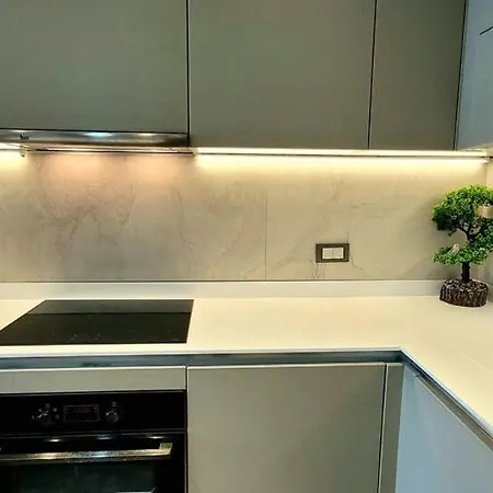 Luxurious And Cozy 1bedr. Ng Apartamento Estambul